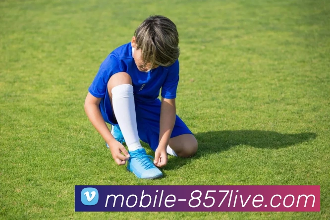 App Interface Preview